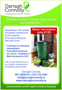 Darragh Connolly qtr.indd