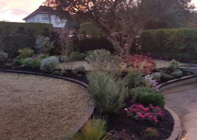 Darragh Connolly Garden Care