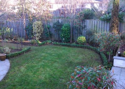 Darragh Connolly Garden Care