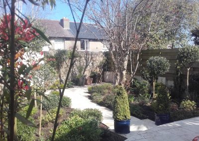 Darragh Connolly Garden Care