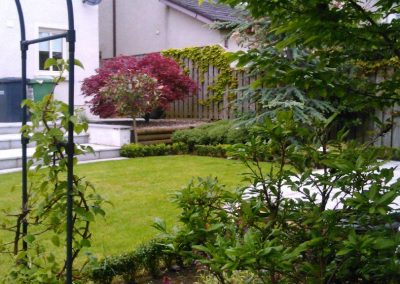 Darragh Connolly Garden Care